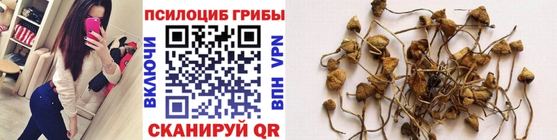 Псилоцибиновые грибы GOLDEN TEACHER где можно купить Харабали